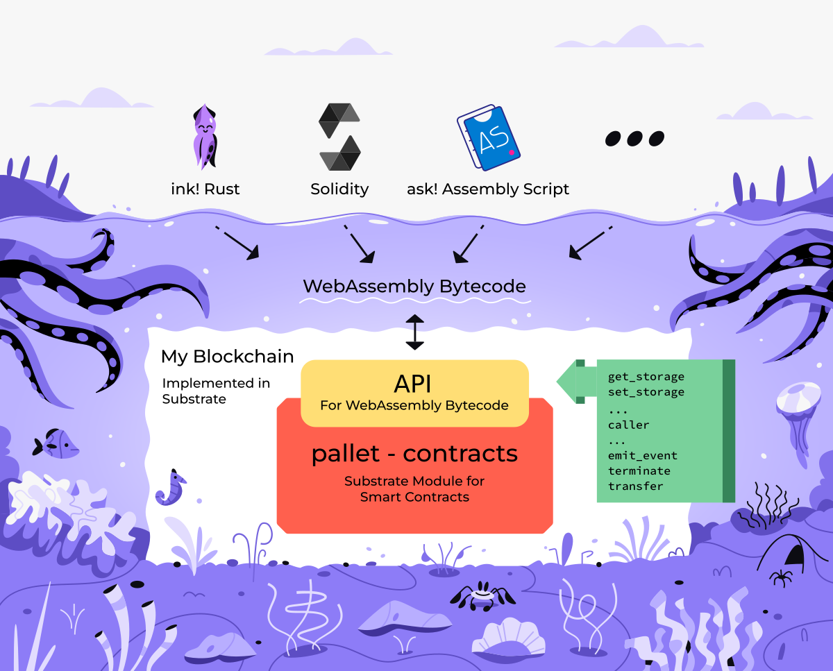 wasm contracts